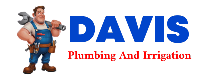 Trusted plumber in GUILD